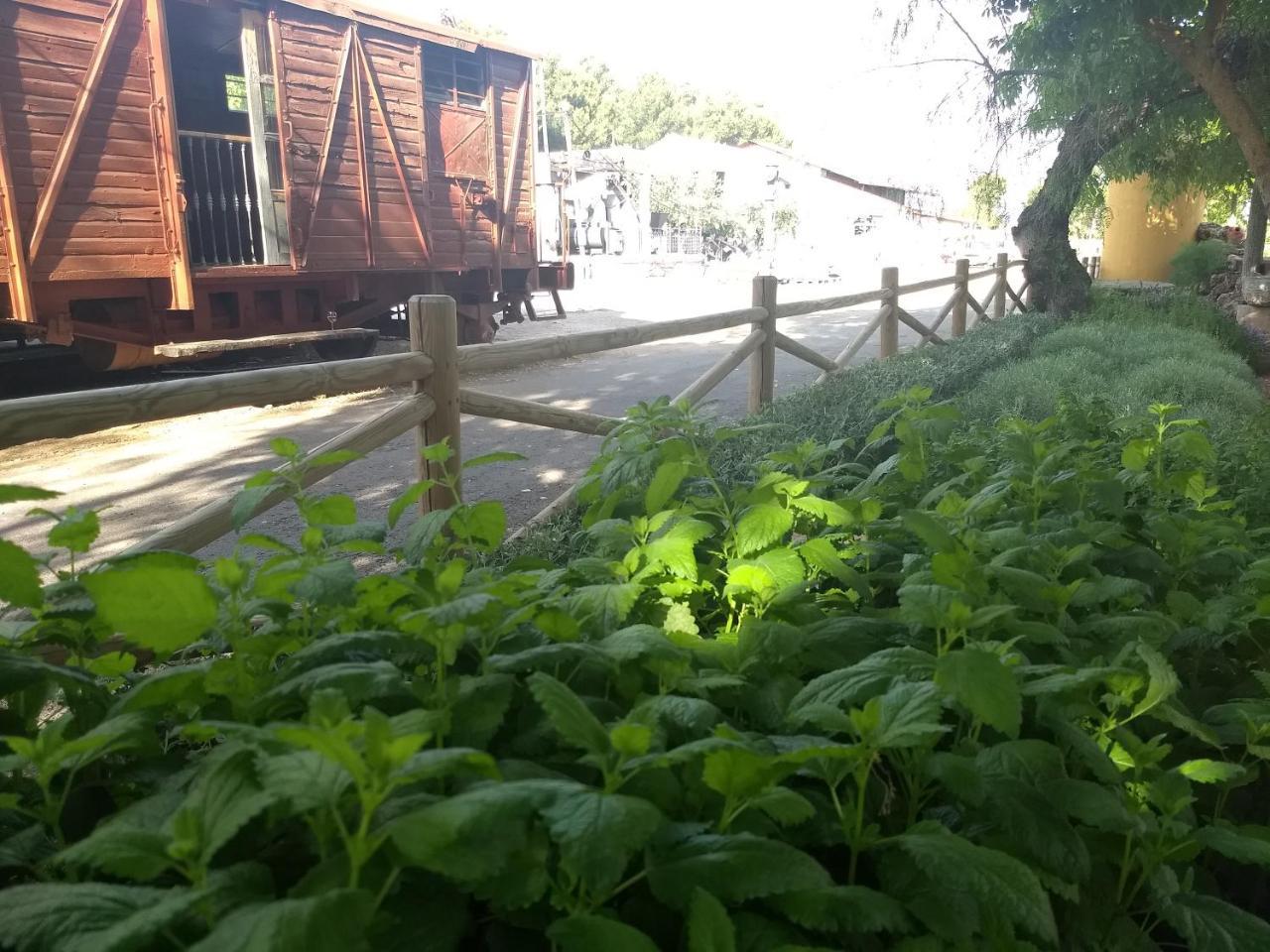 מלון Luque Hostal Nicol'S מראה חיצוני תמונה